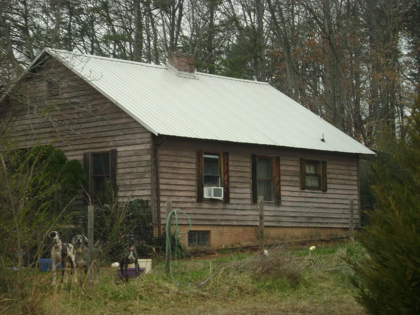 White metal roof on an old wood sided farmhouse, from a Asphalt Shingle Roof Repair job in Toston